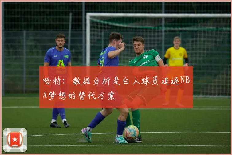 哈特：数据分析是白人球员追逐NBA梦想的替代方案